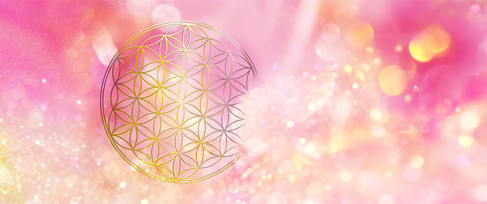 L'ÉNERGIE DE L'ÉLÉVATION